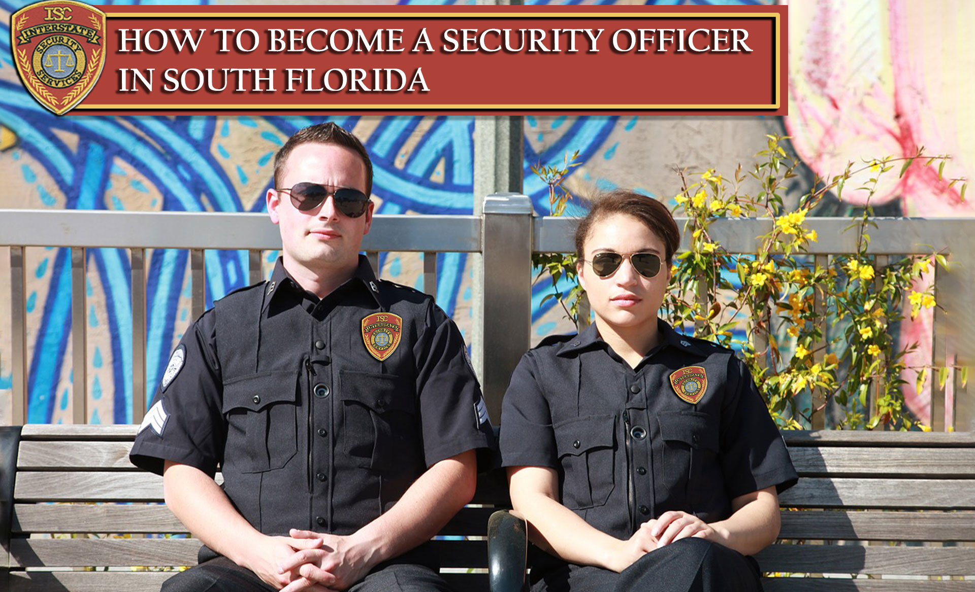 What Are The Requirements To Become A Security Officer